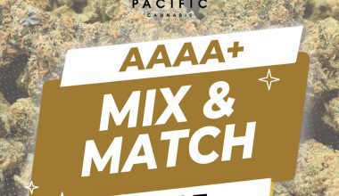 AAAA 1oz Mix & Match