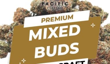 Mixed Premium Buds  - AAAA to Craft (1/4 LB - 1 LB)