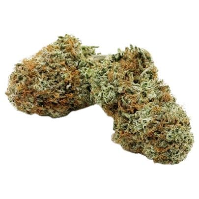 Critical haze Nugs