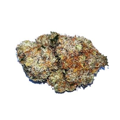 Amnesia Haze Strain