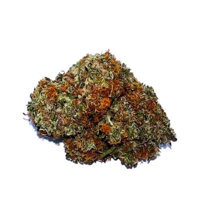 Golden Goat Strain
