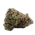 Security Risk Nug