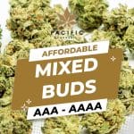 Mixed Buds  - AAA/AAAA ($60 OZ)