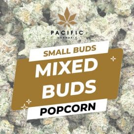 POPCORNMIXEDBuds PC