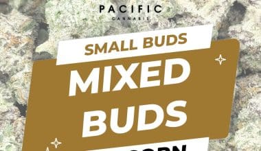 Popcorn Mixed Buds ($55 OZ)