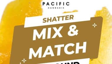 1/4 LB Shatter Mix n Match