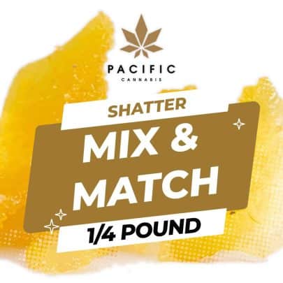 14 LB Shatter Mix n Match