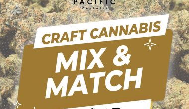 1/2 LB craft mix and match