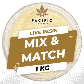 LiveResin 1KG MixMatch