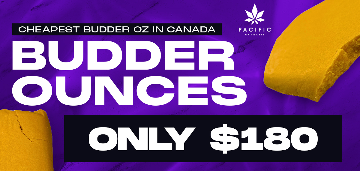 Cheapest Budder Oz Banner