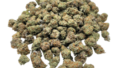 Blueberry MAC - Popcorn