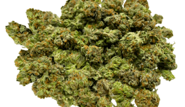 San Fernando Valley OG - Popcorn (1/4 LB - 2 LB)