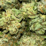 San Fernando Valley OG - Popcorn - Image 5