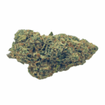 Amnesia Haze - Craft Cannabis