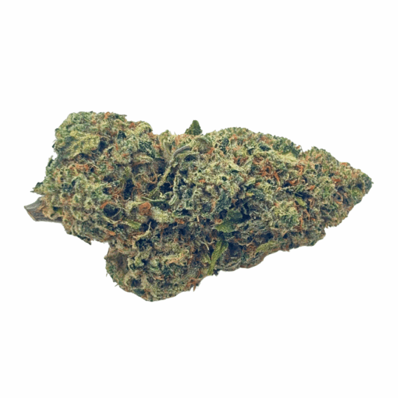 Amnesia Haze - Craft Cannabis (1/4 LB - 1 LB) - Image 1