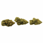 Amnesia Haze - Craft Cannabis (1/4 LB - 1 LB) - Image 2