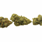 Amnesia Haze - Craft Cannabis (1/4 LB - 1 LB) - Image 3