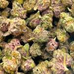 Peanut Butter Breath - Popcorn - Image 2